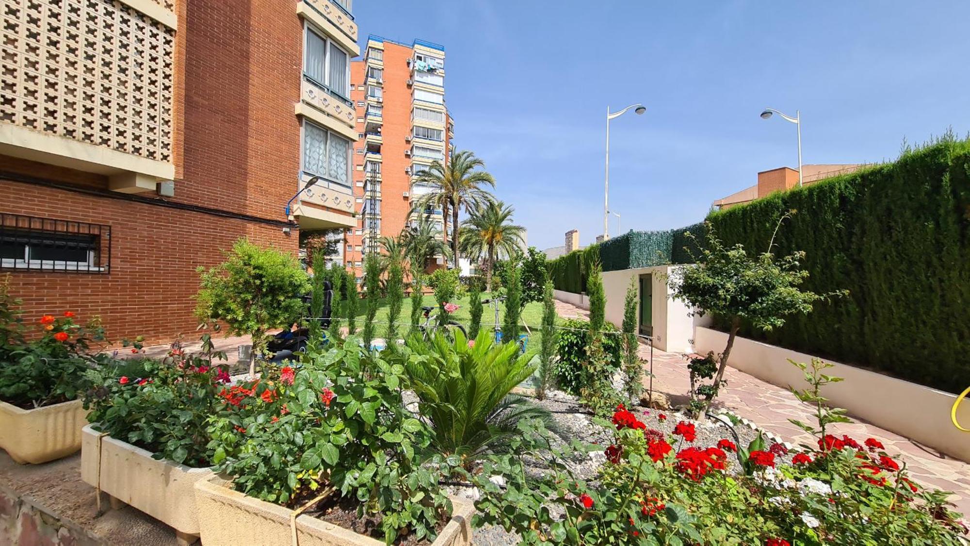 Apartamento San Sebastian If 베니돔 외부 사진